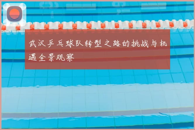 武汉乒乓球队转型之路的挑战与机遇全景观察