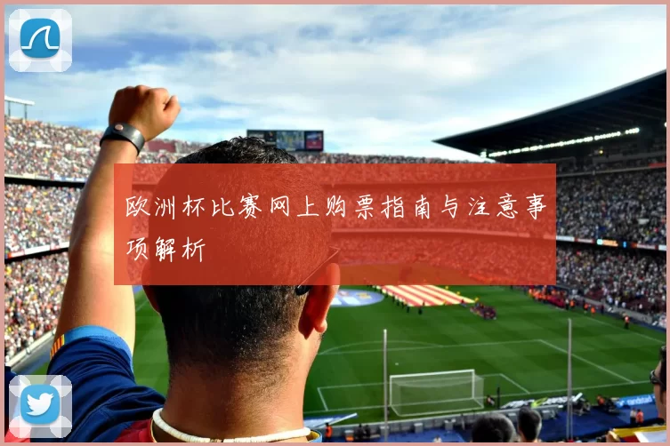 欧洲杯比赛网上购票指南与注意事项解析