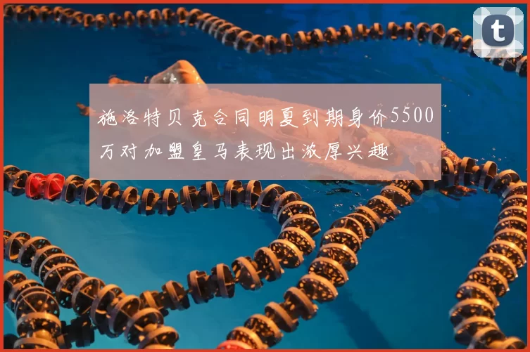 施洛特贝克合同明夏到期身价5500万对加盟皇马表现出浓厚兴趣