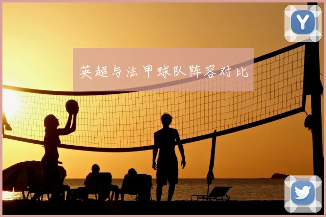 英超与法甲球队阵容对比