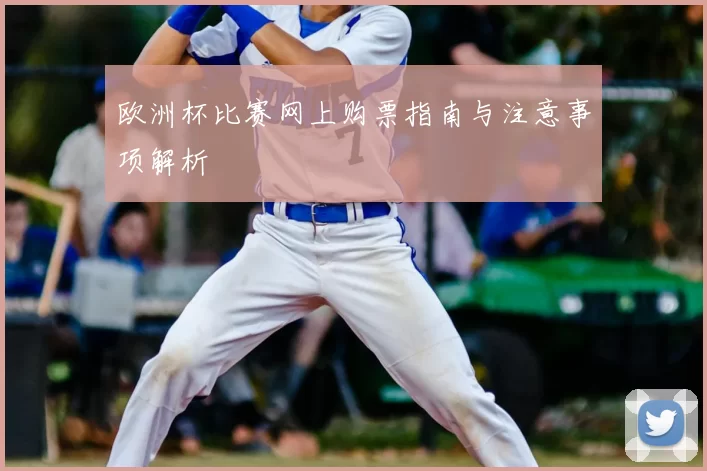 欧洲杯比赛网上购票指南与注意事项解析