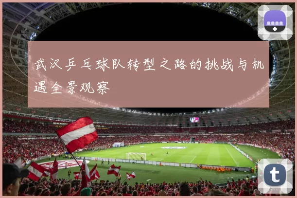 武汉乒乓球队转型之路的挑战与机遇全景观察