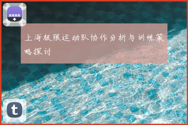 上海极限运动队协作分析与训练策略探讨