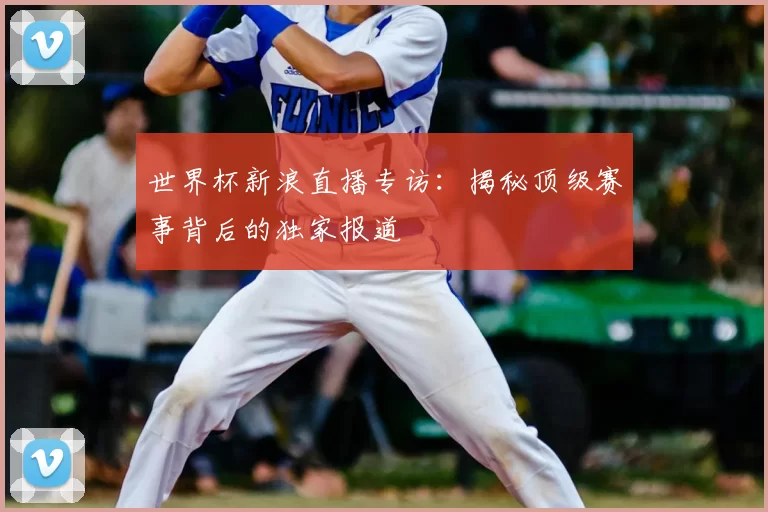 世界杯新浪直播专访：揭秘顶级赛事背后的独家报道