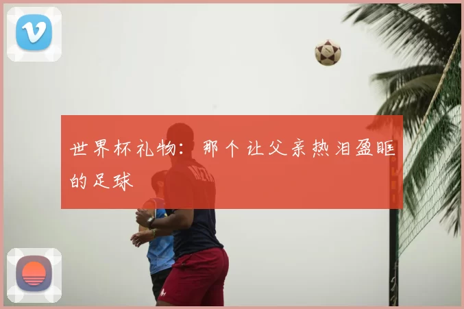 世界杯礼物：那个让父亲热泪盈眶的足球