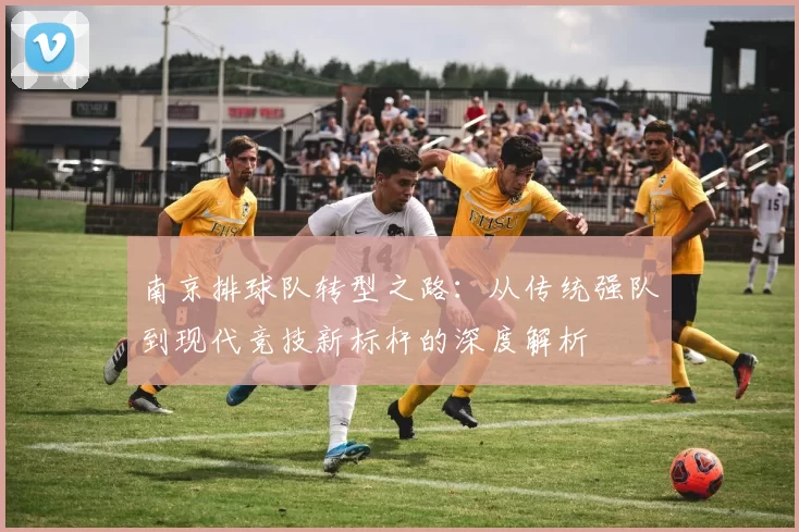 南京排球队转型之路：从传统强队到现代竞技新标杆的深度解析