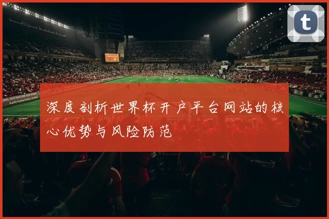 深度剖析世界杯开户平台网站的核心优势与风险防范