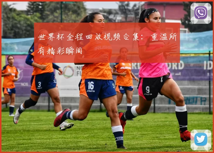 世界杯全程回放视频合集：重温所有精彩瞬间