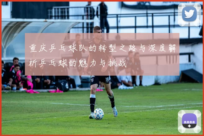 重庆乒乓球队的转型之路与深度解析乒乓球的魅力与挑战