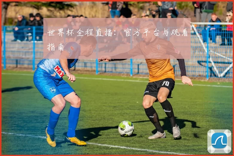 世界杯全程直播：官方平台与观看指南